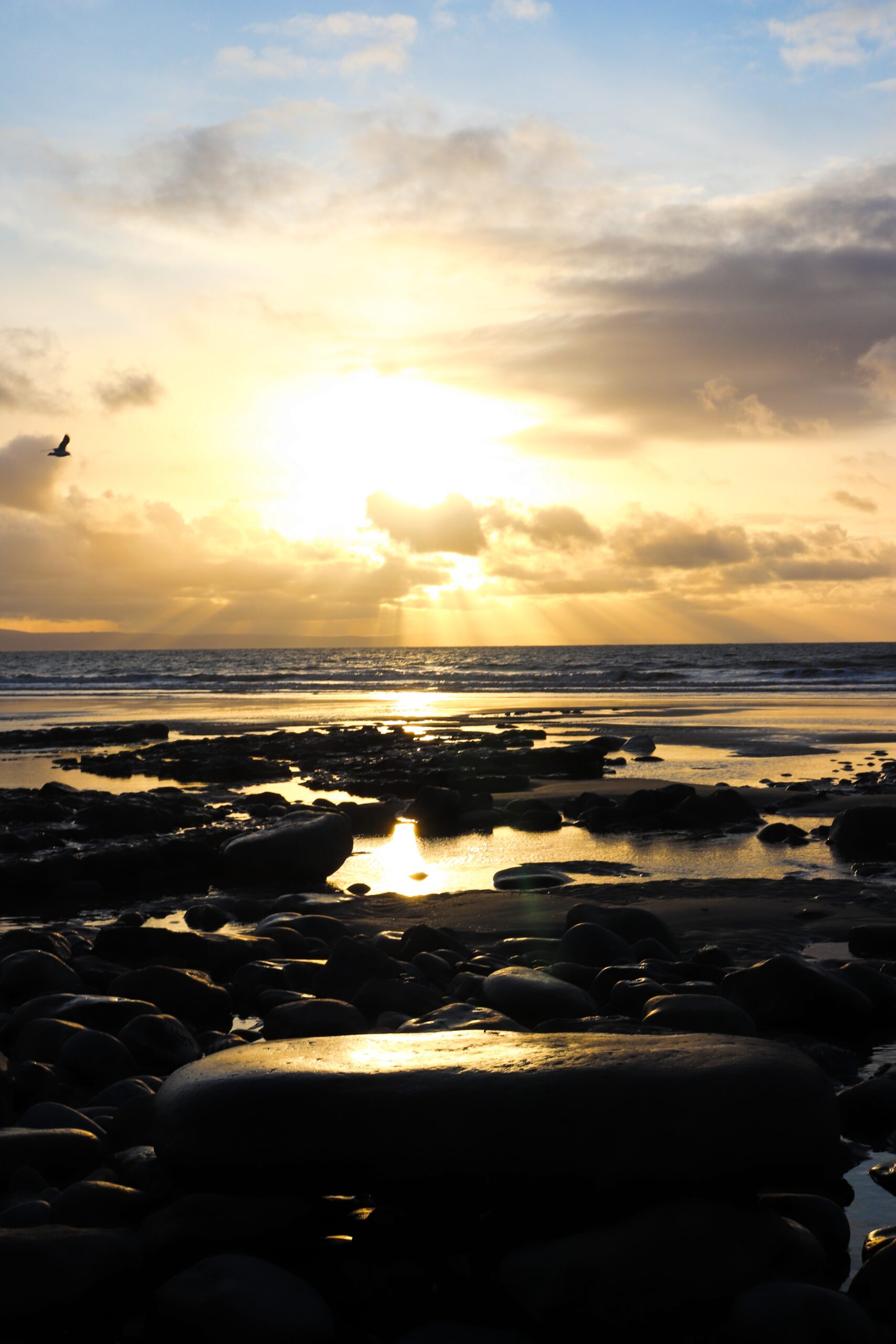 GTours Nature & Wellbeing Wales