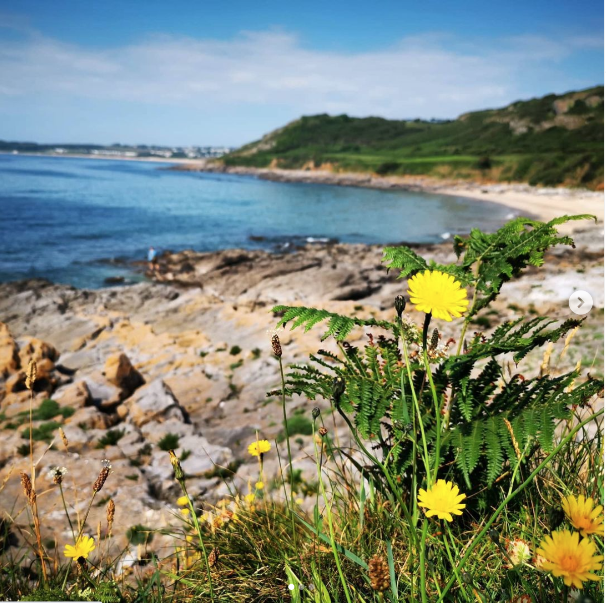 GTours Nature & Wellbeing guided walks