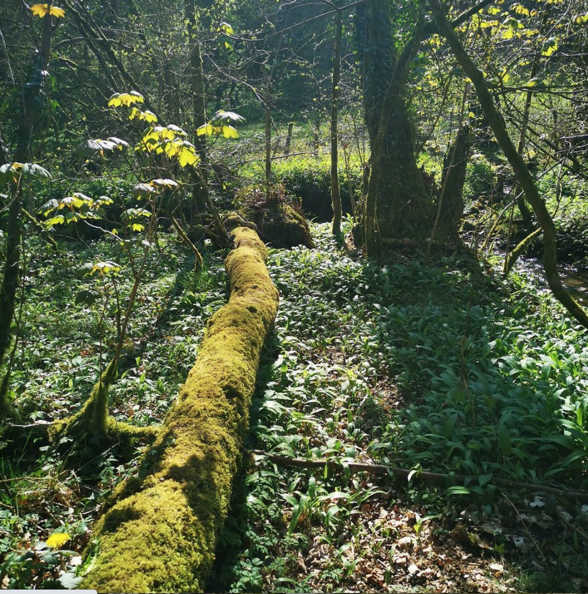 GTours Nature & Wellbeing Wales