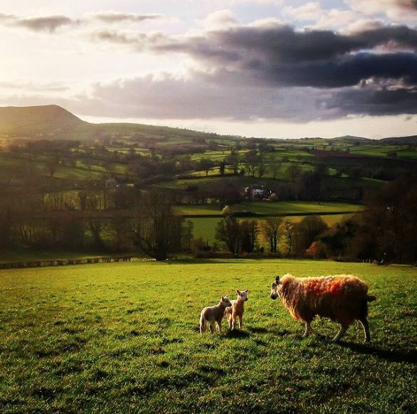 GTours nature & Wellbeing, Brecon Beacons