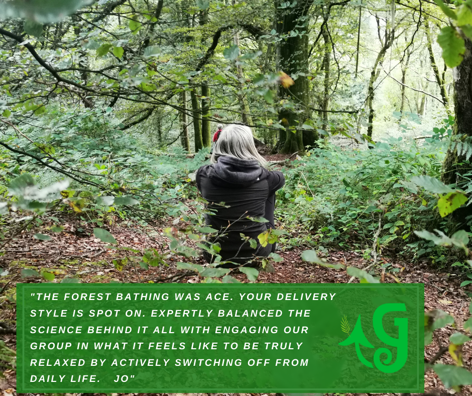 What is Forest Bathing in Wales