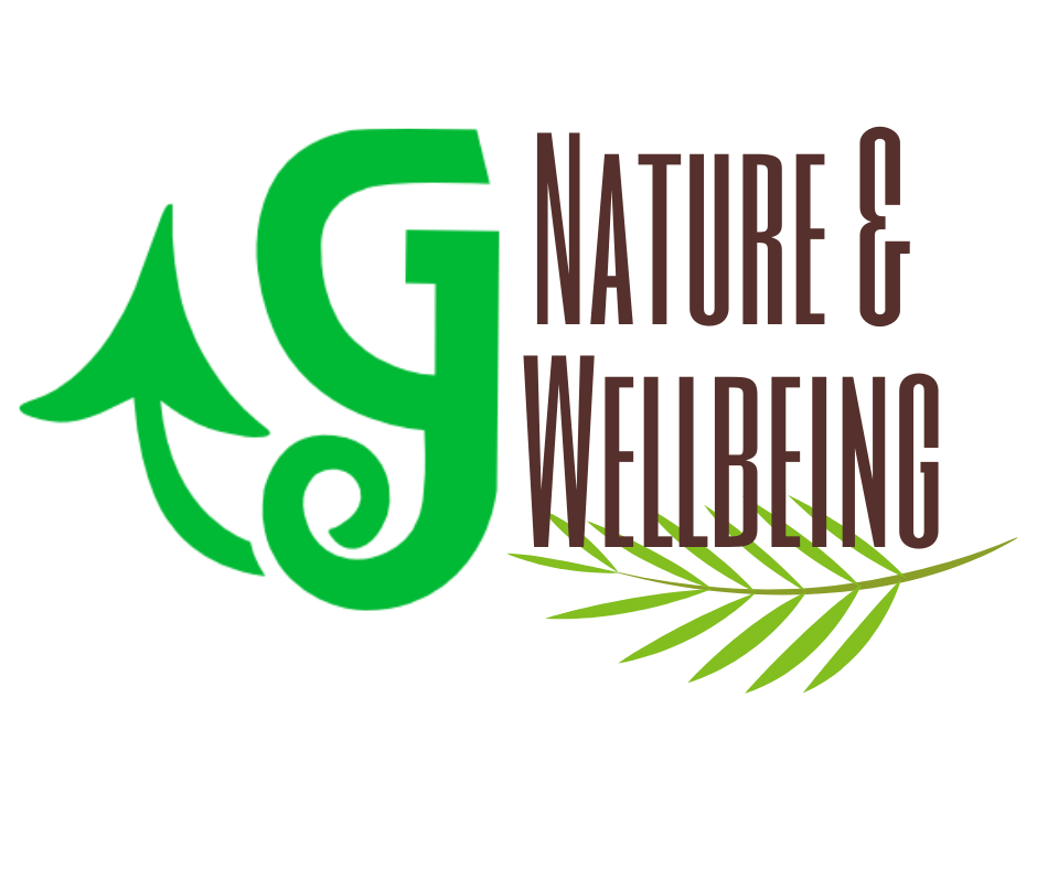 GTours Wales Sound Healing Therapy