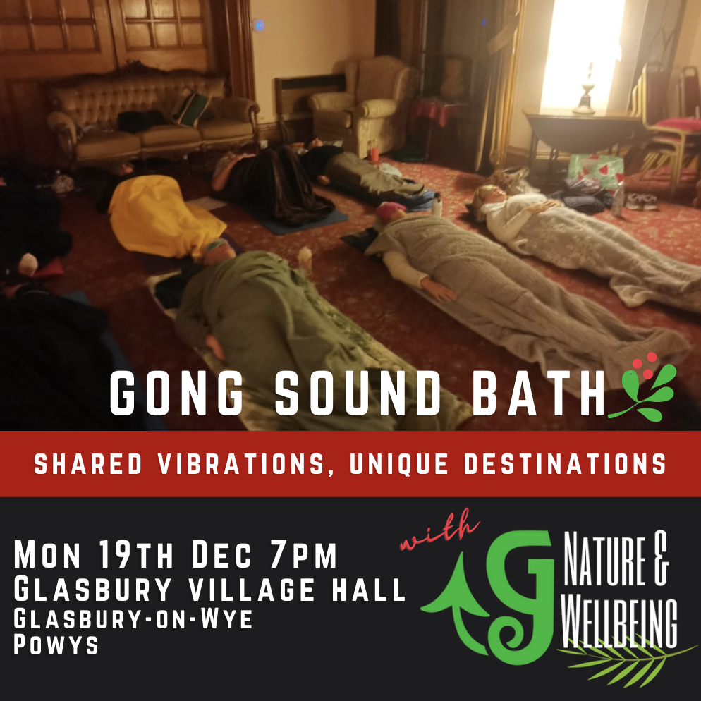 Dec GTours Wales Sound Healing Therapy